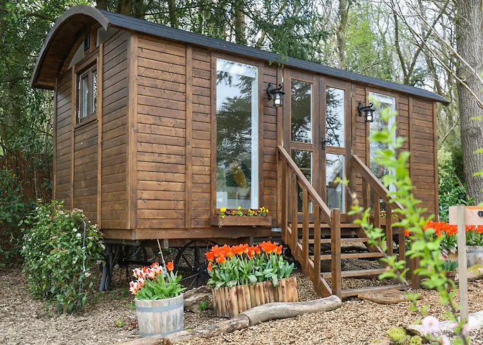Sybs Farm Shepherds Hut